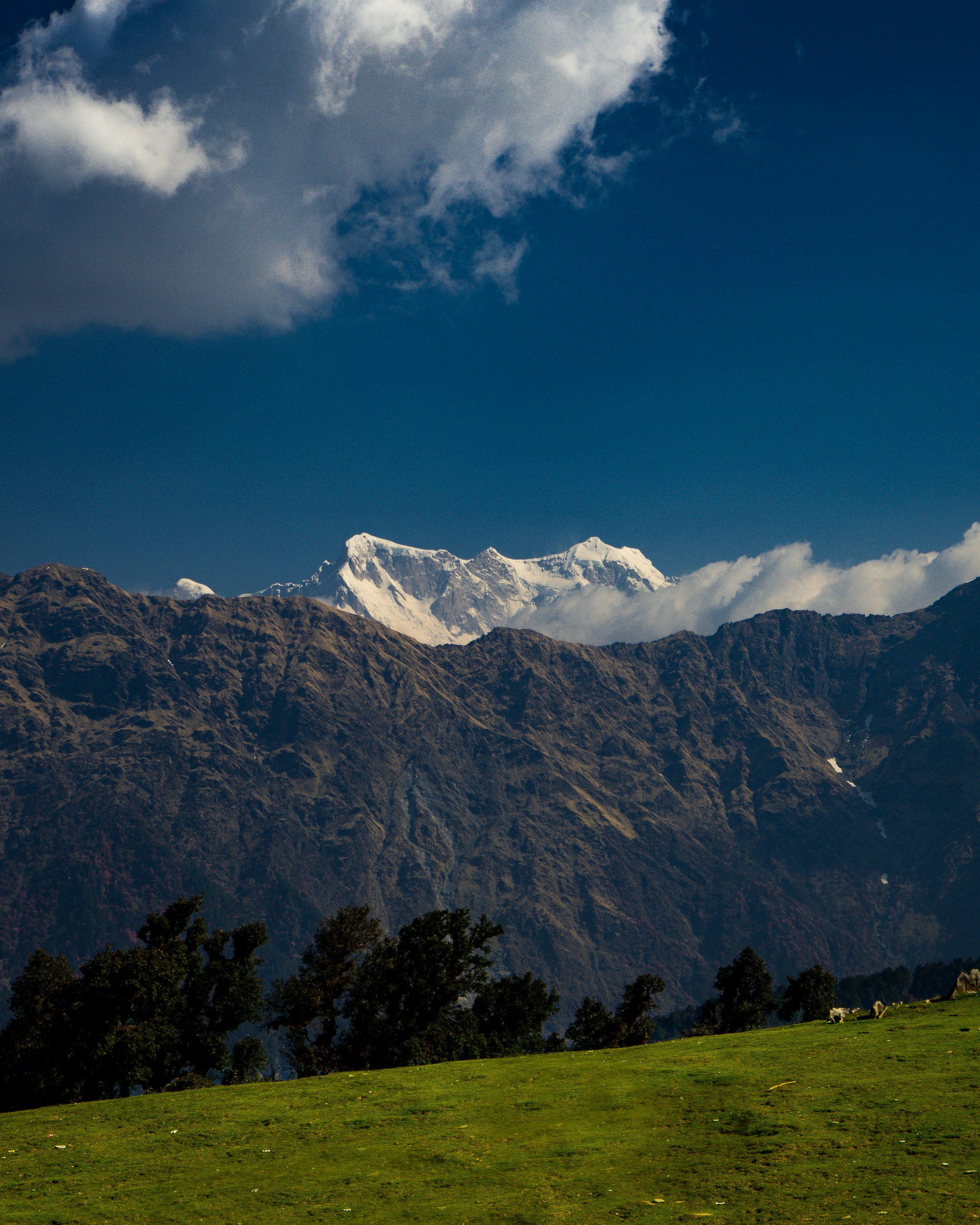 Chopta Meadows